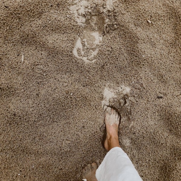 Sust_webb_beach_footprint_1080x1350.jpg